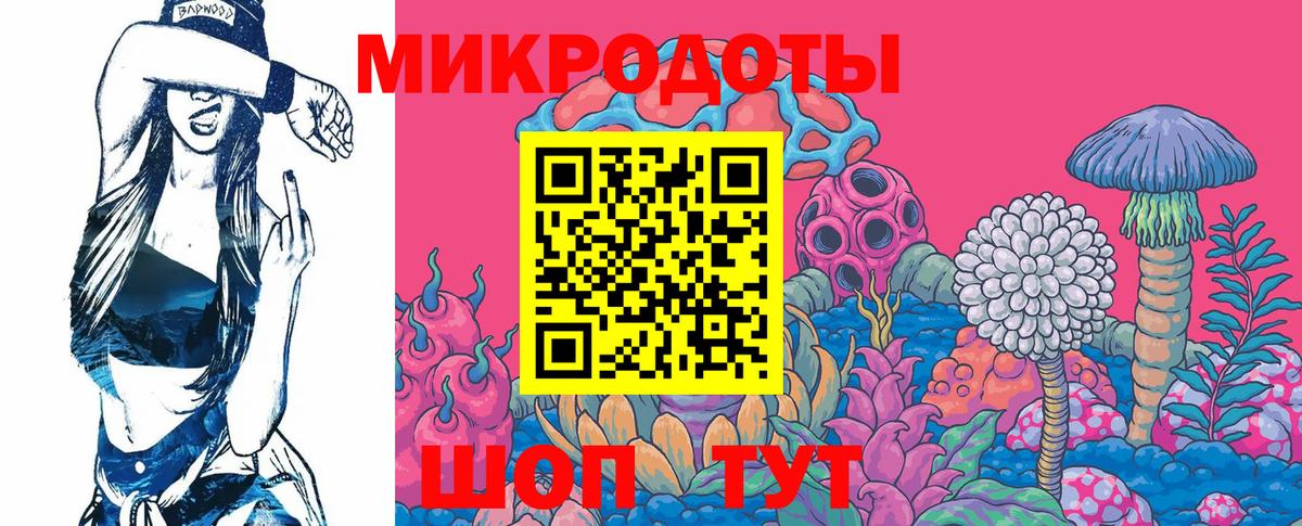 Новосибирск  Псилоцибиновые грибы Psilocybe  Вход с VPN 