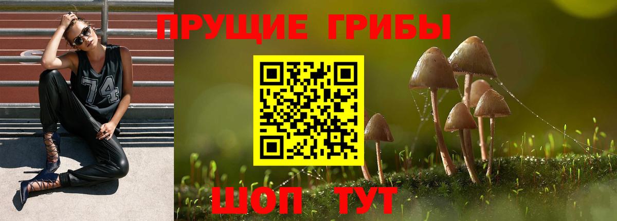 Псилоцибиновые грибы мицелий Новосибирск