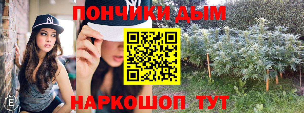 Бошки марихуана SATIVA & INDICA  Бошки марихуана Amnesia  Канабис сатива  МАРИХУАНА семена  Новосибирск  Вход с VPN 